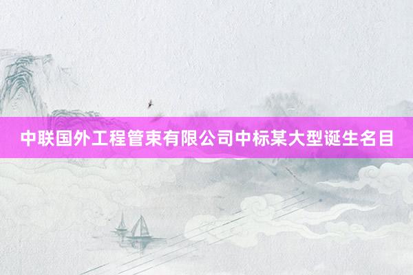 中联国外工程管束有限公司中标某大型诞生名目